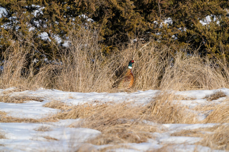 Embrace North Dakota’s early winter